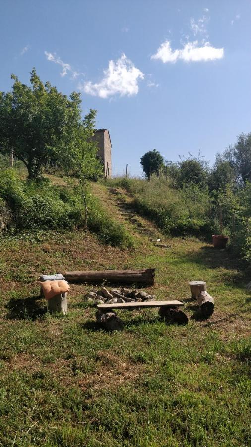 Podere Cerrete - Eco Farmhouse Castel del Piano  Zewnętrze zdjęcie